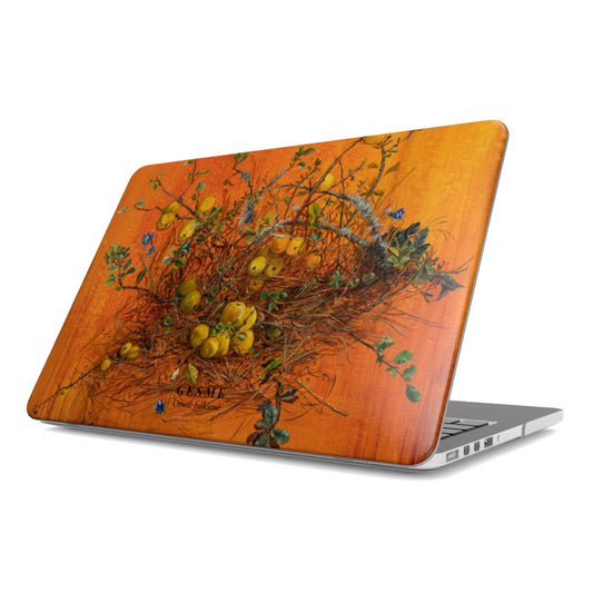 Svarainių Saulė MacBook